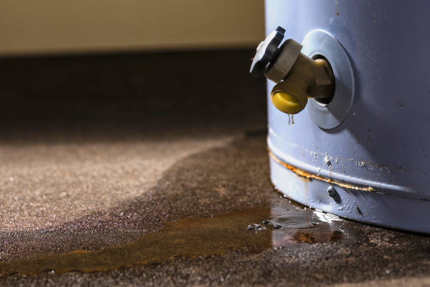 Best Sewage cleanup and water damage restoration  in Show Low, AZ