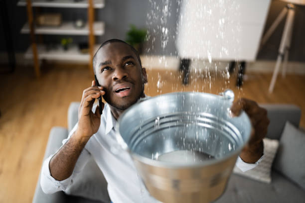 Best Residential water damage restoration  in Show Low, AZ