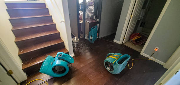 Best Water damage restoration services  in Show Low, AZ