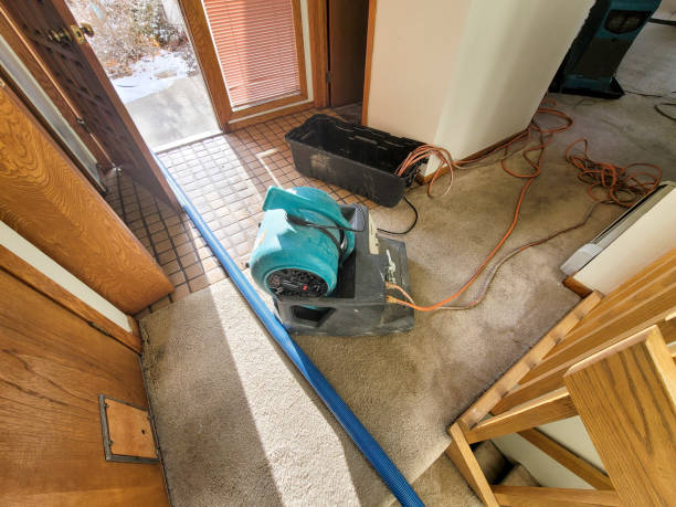 Best Water damage restoration insurance claims  in Show Low, AZ
