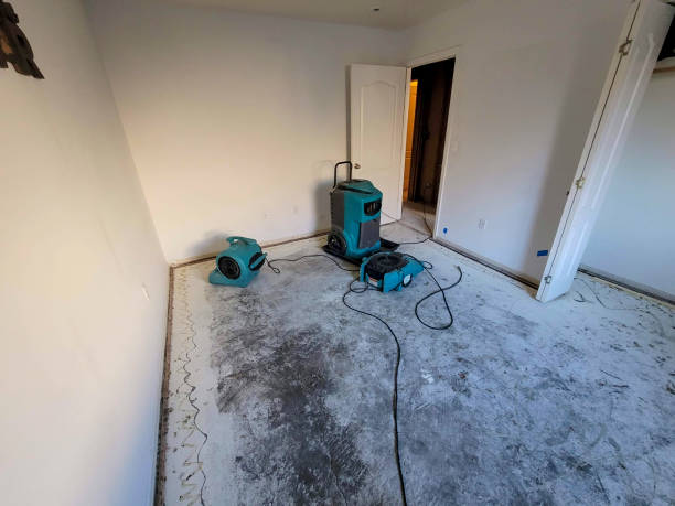 Best Ceiling water damage repair  in Show Low, AZ