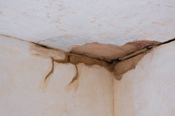Best Flooded house restoration  in Show Low, AZ
