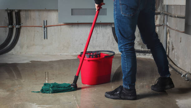 Best Water damage cleanup near me  in Show Low, AZ