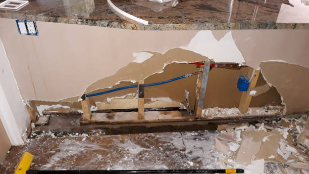 Best Water damage contractors near me  in Show Low, AZ