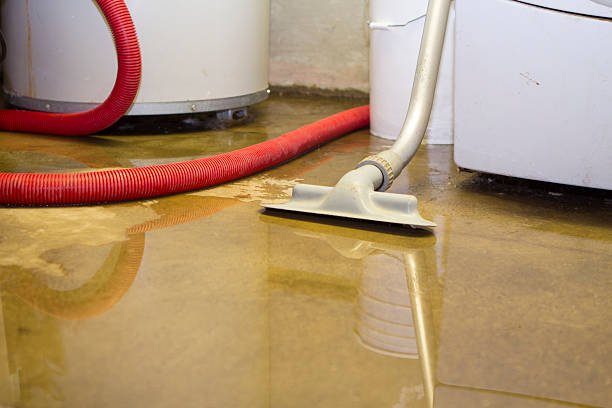 Best Emergency water extraction  in Show Low, AZ