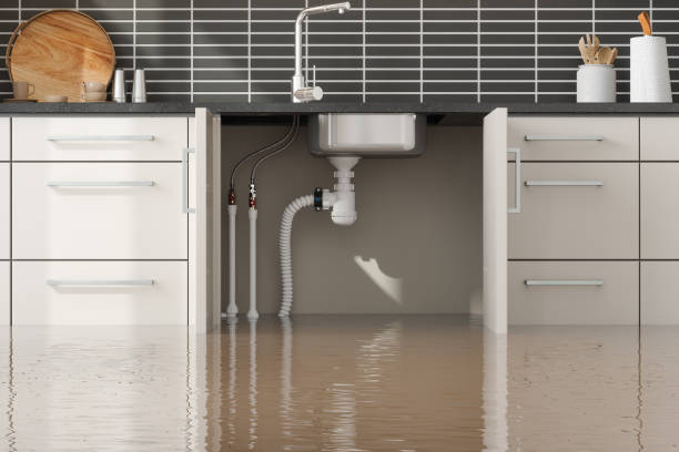 Best 24/7 water damage repair  in Show Low, AZ