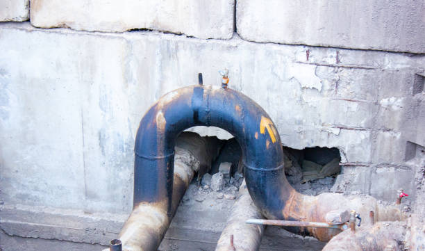 Best Water damage restoration mold remediation  in Show Low, AZ