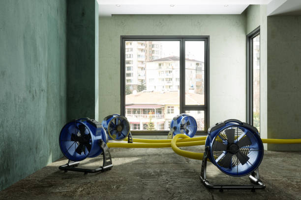 Best Carpet water damage restoration  in Show Low, AZ