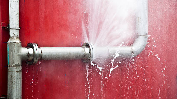 Best Flood restoration services  in Show Low, AZ